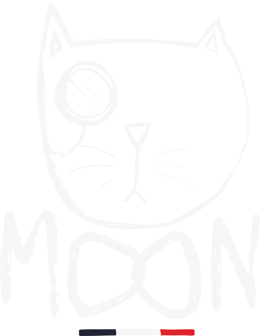Logo Moon noeud papillon en bois recyclé